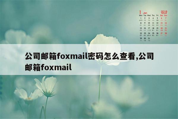 公司邮箱foxmail密码怎么查看,公司邮箱foxmail