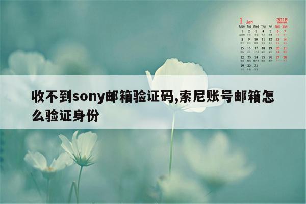 收不到sony邮箱验证码,索尼账号邮箱怎么验证身份