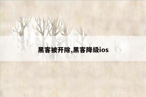 黑客被开除,黑客降级ios