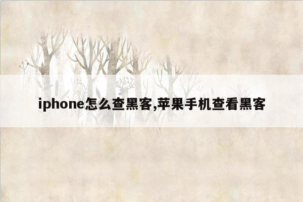 iphone怎么查黑客,苹果手机查看黑客