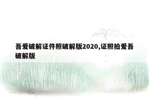 吾爱破解证件照破解版2020,证照拍爱吾破解版