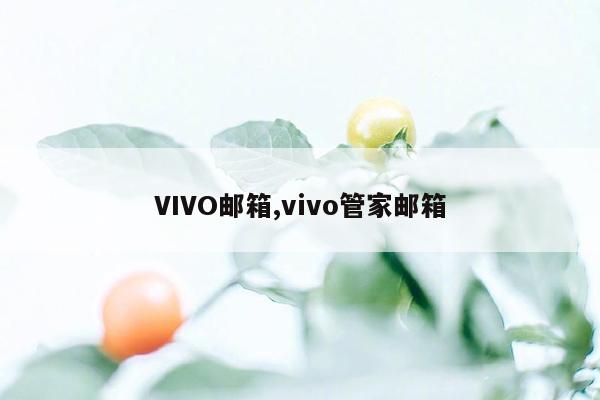 VIVO邮箱,vivo管家邮箱