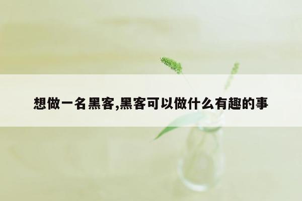 想做一名黑客,黑客可以做什么有趣的事