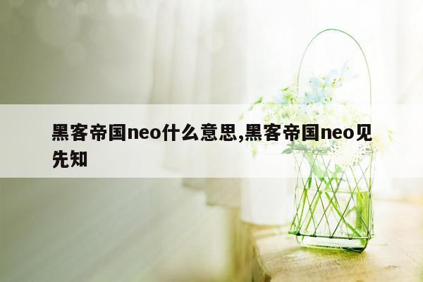 黑客帝国neo什么意思,黑客帝国neo见先知