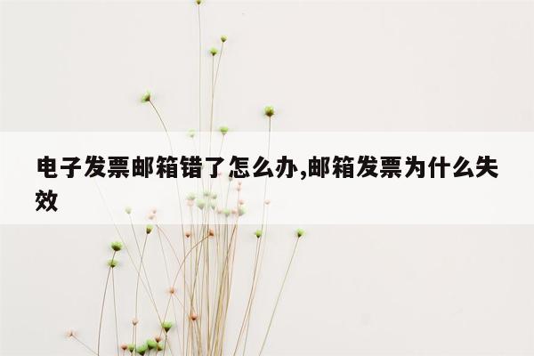 电子发票邮箱错了怎么办,邮箱发票为什么失效