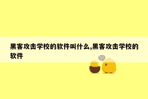 黑客攻击学校的软件叫什么,黑客攻击学校的软件