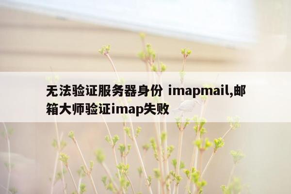 无法验证服务器身份 imapmail,邮箱大师验证imap失败