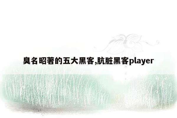 臭名昭著的五大黑客,肮脏黑客player