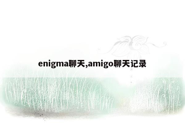 enigma聊天,amigo聊天记录