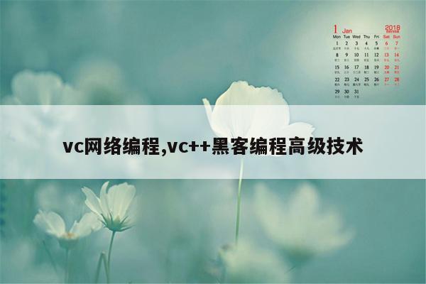 vc网络编程,vc++黑客编程高级技术