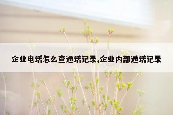 企业电话怎么查通话记录,企业内部通话记录