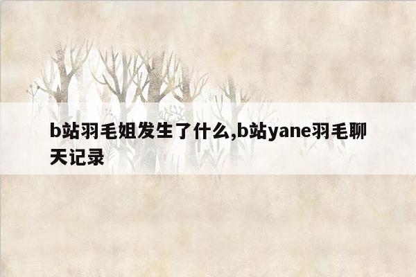 b站羽毛姐发生了什么,b站yane羽毛聊天记录