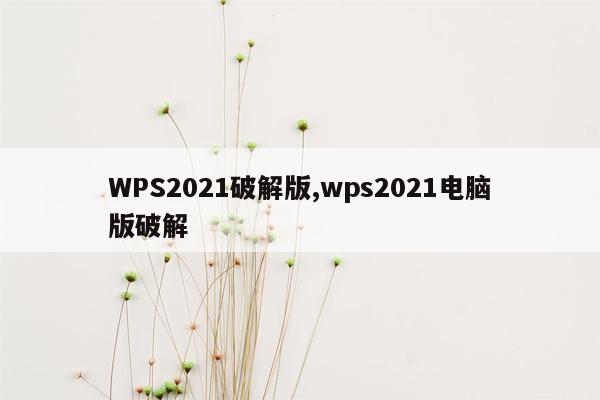 WPS2021破解版,wps2021电脑版破解