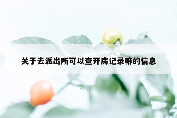 关于去派出所可以查开房记录嘛的信息