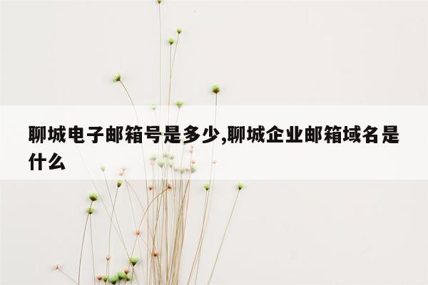 聊城电子邮箱号是多少,聊城企业邮箱域名是什么