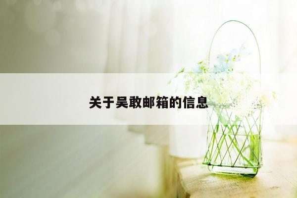 关于吴敢邮箱的信息