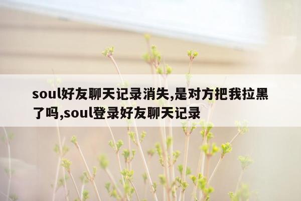 soul好友聊天记录消失,是对方把我拉黑了吗,soul登录好友聊天记录