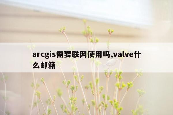 arcgis需要联网使用吗,valve什么邮箱