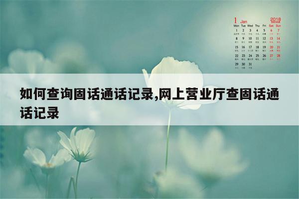 如何查询固话通话记录,网上营业厅查固话通话记录