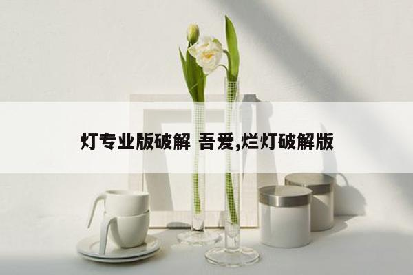 灯专业版破解 吾爱,烂灯破解版