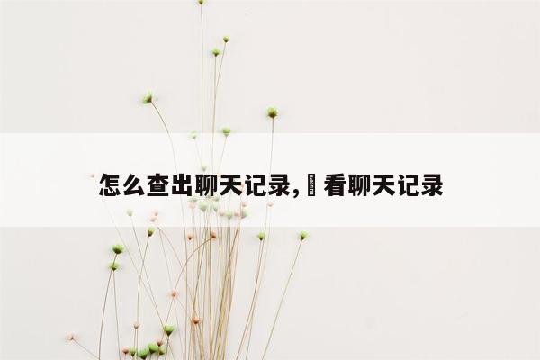 怎么查出聊天记录,査看聊天记录