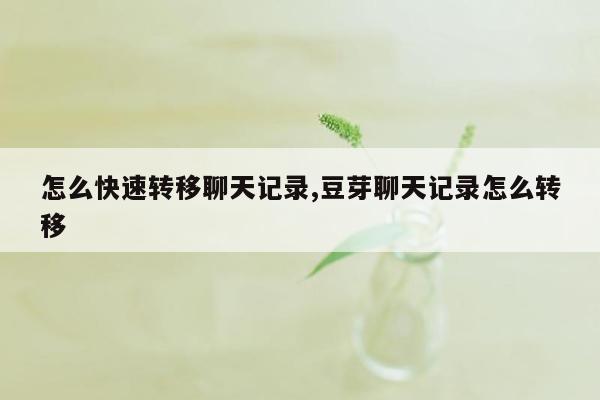 怎么快速转移聊天记录,豆芽聊天记录怎么转移