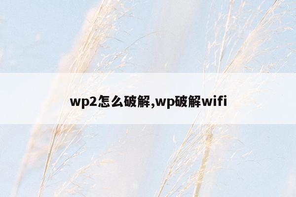 wp2怎么破解,wp破解wifi