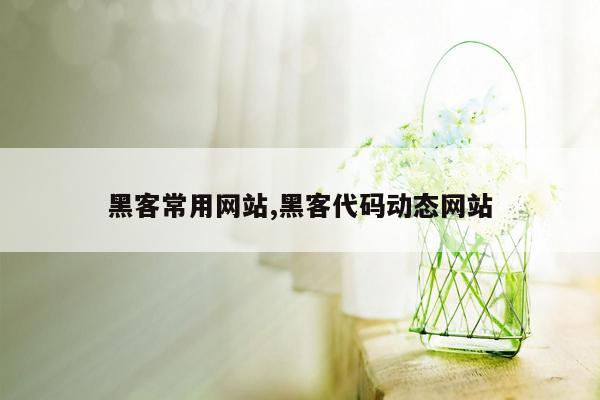 黑客常用网站,黑客代码动态网站