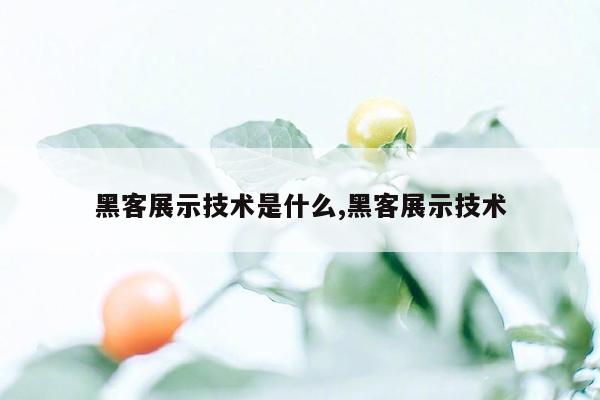 黑客展示技术是什么,黑客展示技术