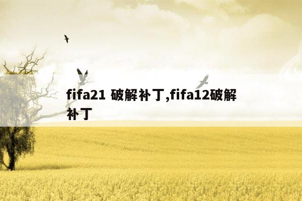 fifa21 破解补丁,fifa12破解补丁