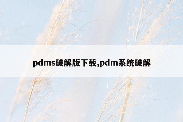 pdms破解版下载,pdm系统破解
