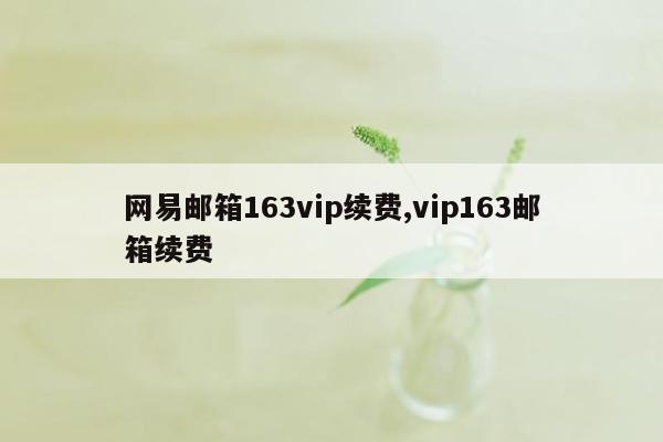 网易邮箱163vip续费,vip163邮箱续费