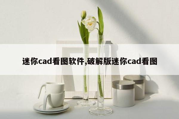 迷你cad看图软件,破解版迷你cad看图