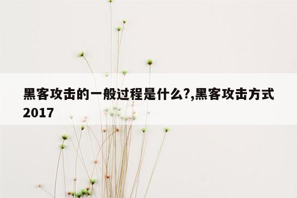 黑客攻击的一般过程是什么?,黑客攻击方式2017