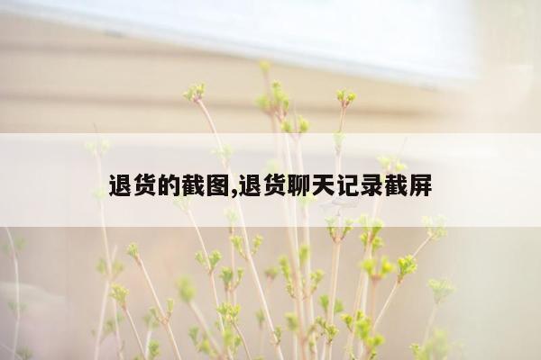 退货的截图,退货聊天记录截屏