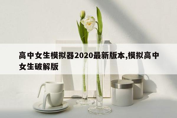 高中女生模拟器2020最新版本,模拟高中女生破解版