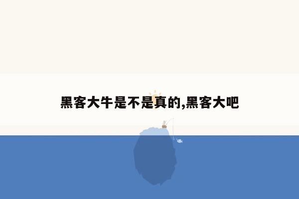 黑客大牛是不是真的,黑客大吧