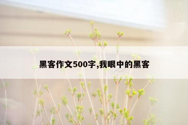 黑客作文500字,我眼中的黑客