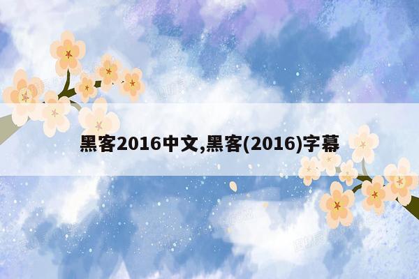 黑客2016中文,黑客(2016)字幕