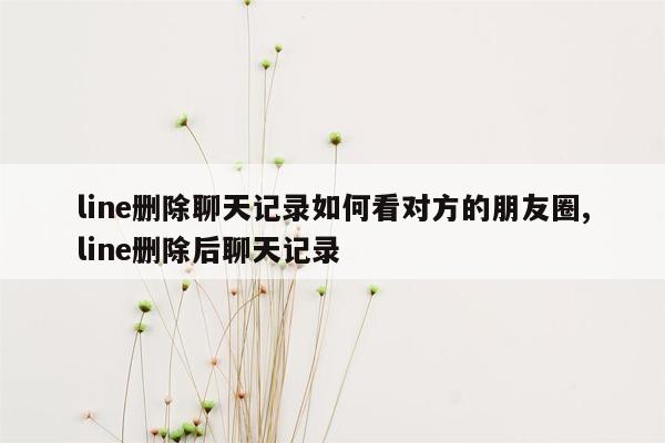 line删除聊天记录如何看对方的朋友圈,line删除后聊天记录