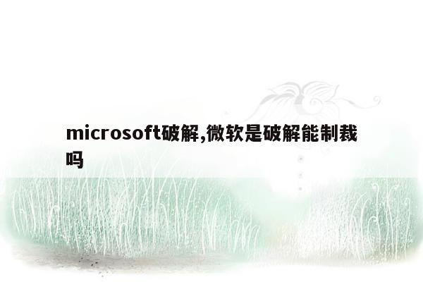 microsoft破解,微软是破解能制裁吗
