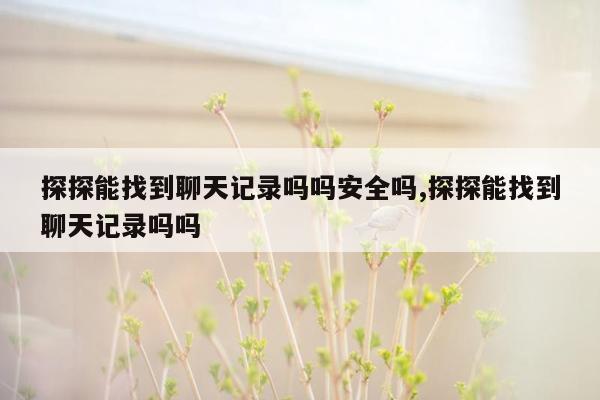 探探能找到聊天记录吗吗安全吗,探探能找到聊天记录吗吗