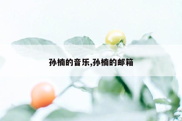 孙楠的音乐,孙楠的邮箱