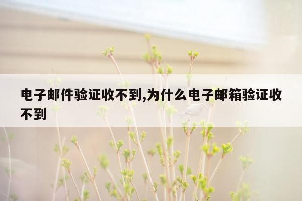 电子邮件验证收不到,为什么电子邮箱验证收不到