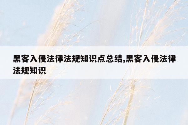 黑客入侵法律法规知识点总结,黑客入侵法律法规知识