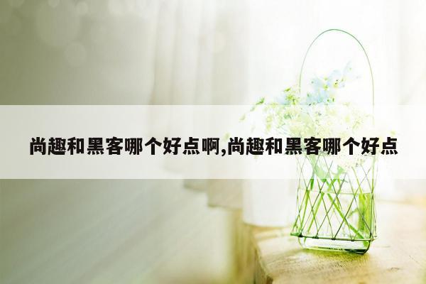 尚趣和黑客哪个好点啊,尚趣和黑客哪个好点