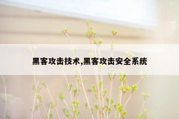 黑客攻击技术,黑客攻击安全系统