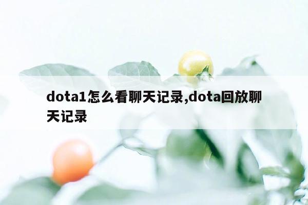 dota1怎么看聊天记录,dota回放聊天记录