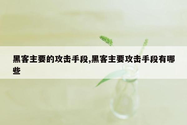 黑客主要的攻击手段,黑客主要攻击手段有哪些