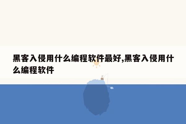 黑客入侵用什么编程软件最好,黑客入侵用什么编程软件